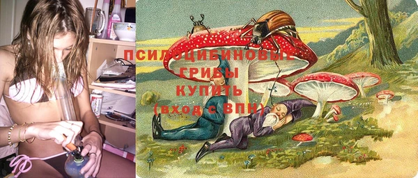 дживик Бугульма